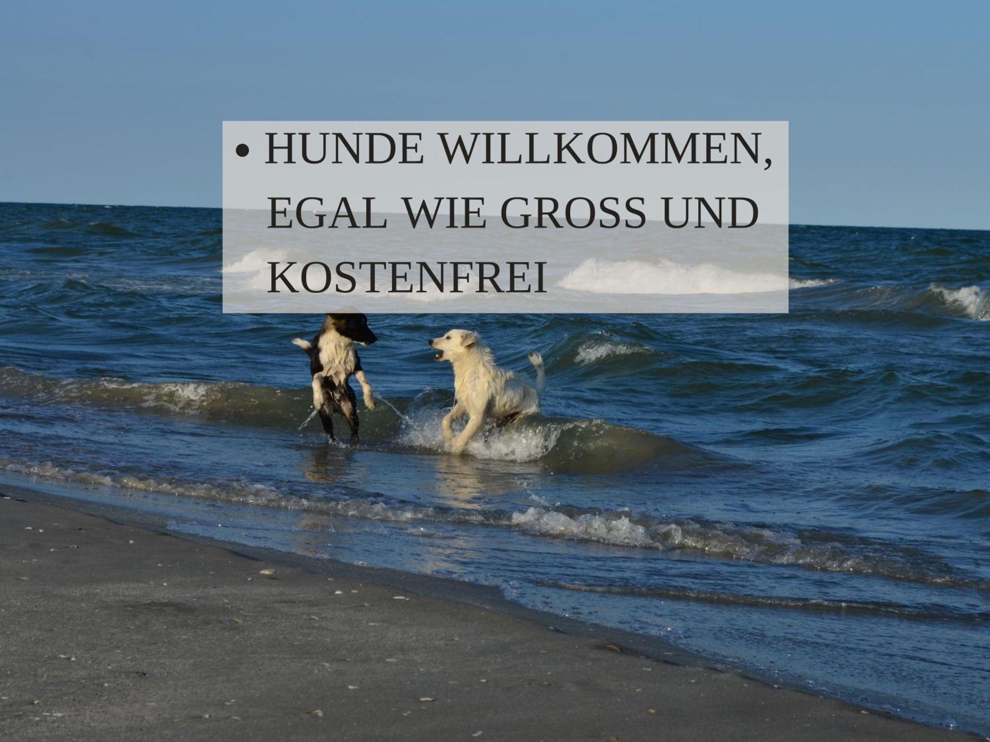 Haus Krabbe Zimmer Ohne Kueche, Fuer 1-2 Personen, Doppelbett, Zentral Gelegen Zwischen Cuxhaven Und Bremerhaven, Hunde Kostenfrei Willkommen, Kostenfreier Parkplatz Wremen Εξωτερικό φωτογραφία